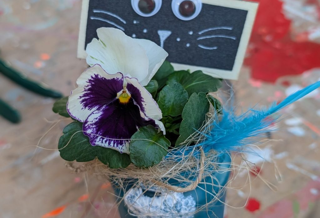 PXL_20260305_163045251.MP